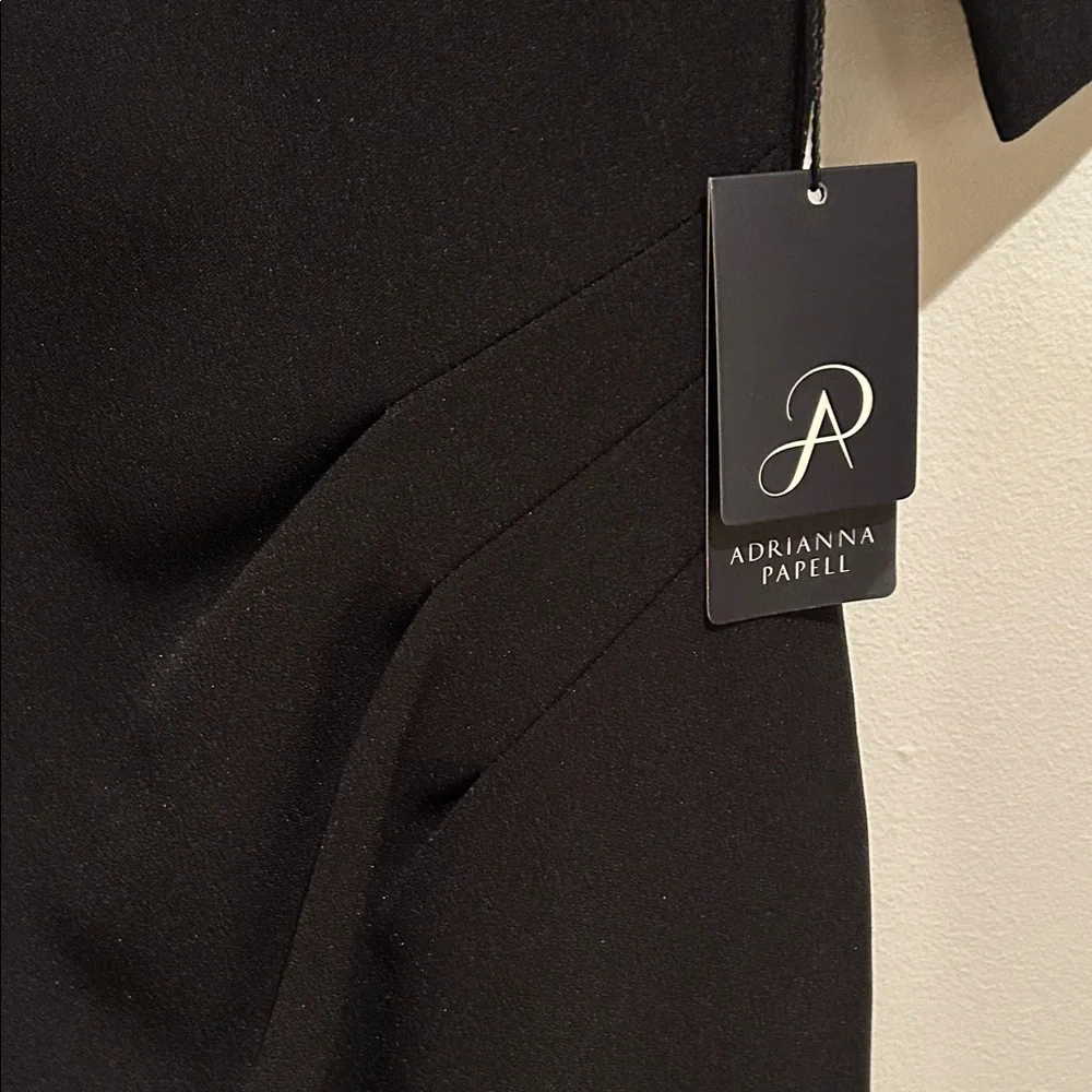 NWT Adrianna Papell Elegant Black Dress size 12 - Picture 5 of 8